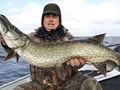 PIKE FISHING 2016 - CATCH AND RELEASE 